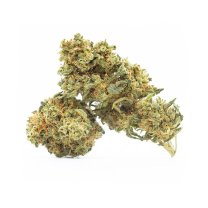 N.Y.C. Diesel - small Buds